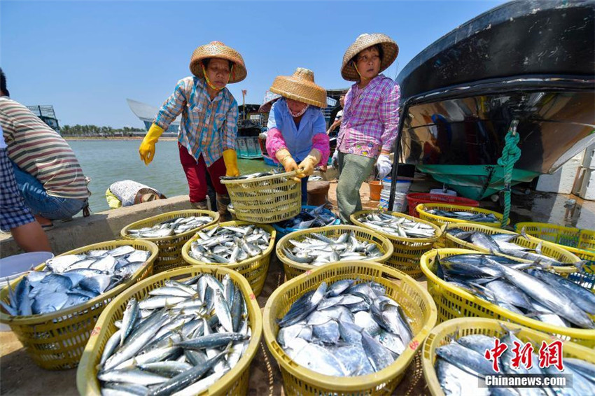 Südchinesisches Meer begrü?t Fischfang-Moratorium