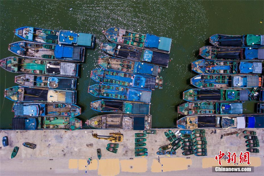 Südchinesisches Meer begrü?t Fischfang-Moratorium