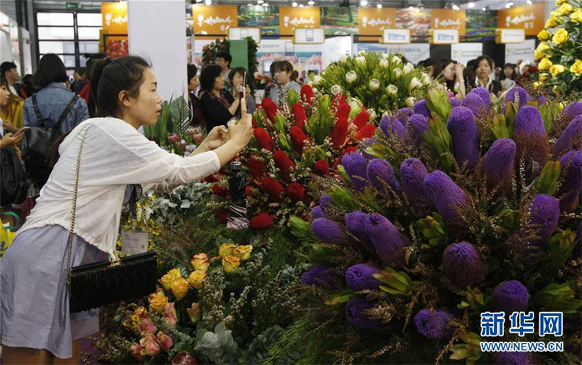 Internationale Gartenbau-Expo in Shanghai er?ffnet
