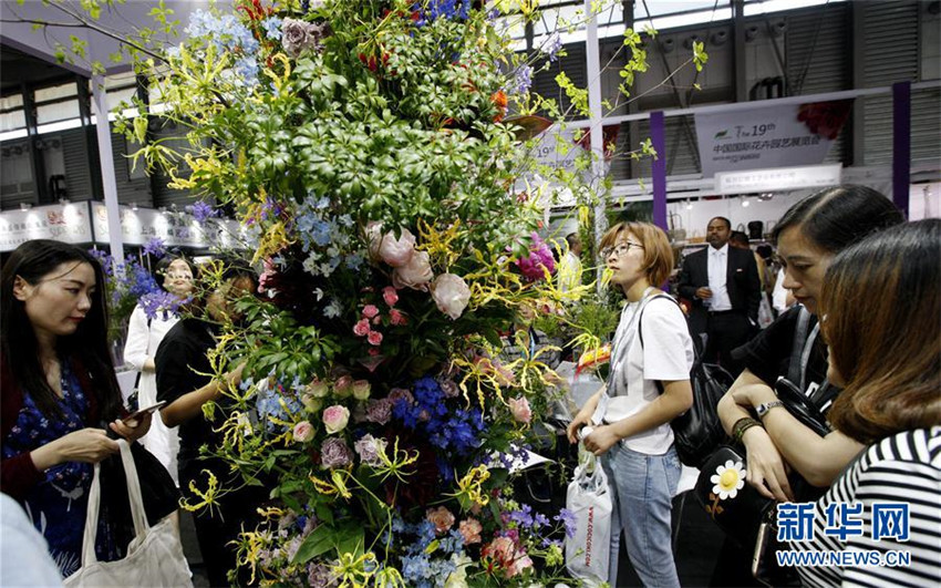 Internationale Gartenbau-Expo in Shanghai er?ffnet