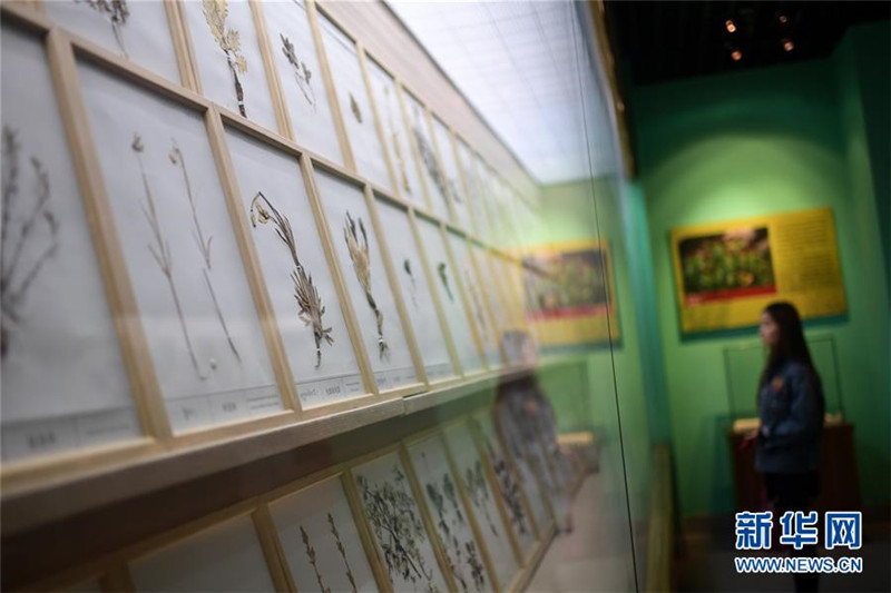 Chinesisches Museum der tibetischen Medizinkultur