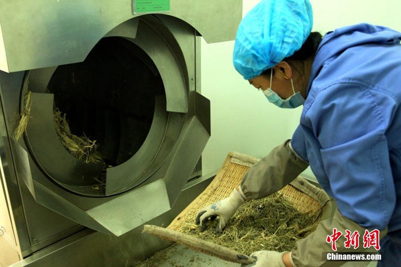 Chinas gr??tes Fertigungslabor für Tibetische Medizin in Qinghai 