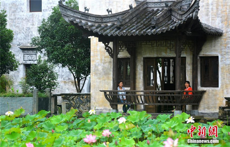 Wuyuans blühende Lotosblumen bet?ren die Touristen