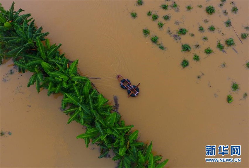 über eine Million Menschen in Guangxi von überschwemmungen betroffen