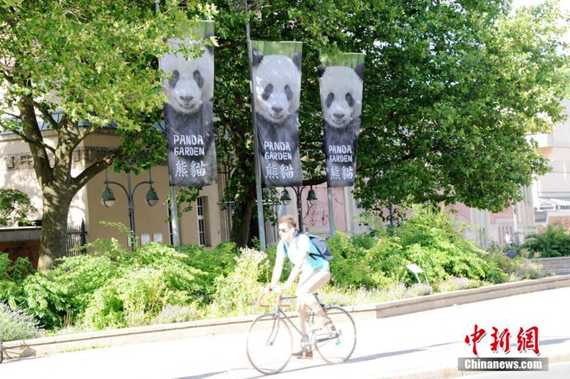 Meng Meng und Jiao Qing vor dem Debüt in Berlin 