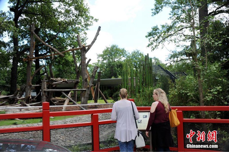 Meng Meng und Jiao Qing vor dem Debüt in Berlin 