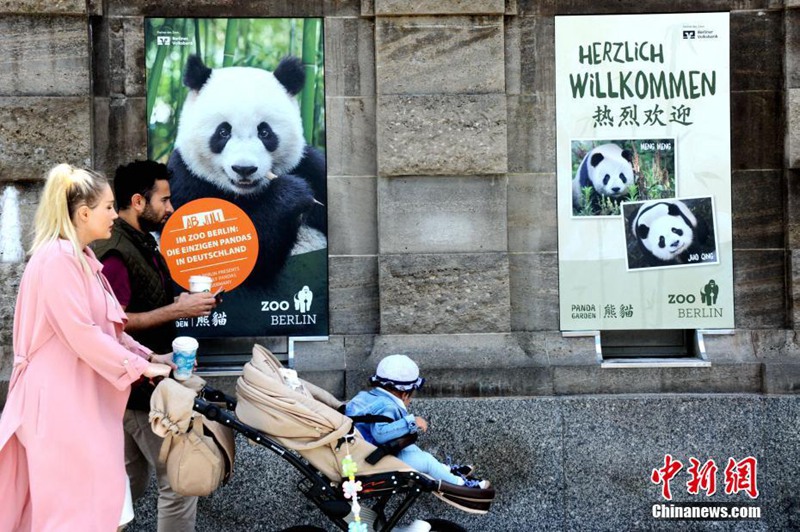 Meng Meng und Jiao Qing vor dem Debüt in Berlin 