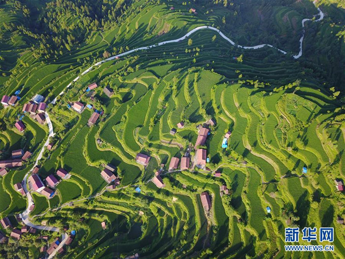 Sch?ne Terrassenfelder im Miao-Dorf in Guizhou