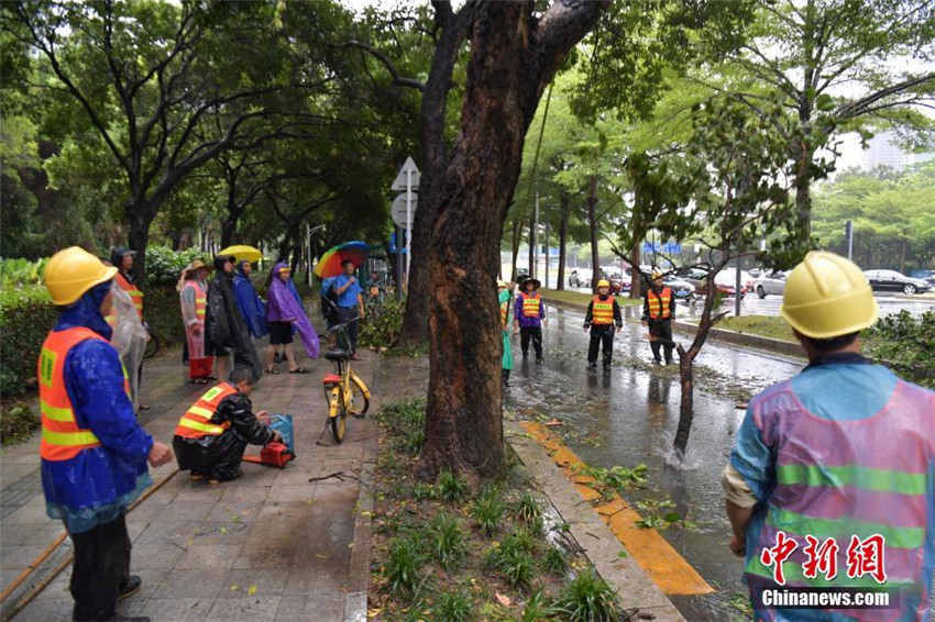 Taifun ?Hato“ wütet in Guangdong