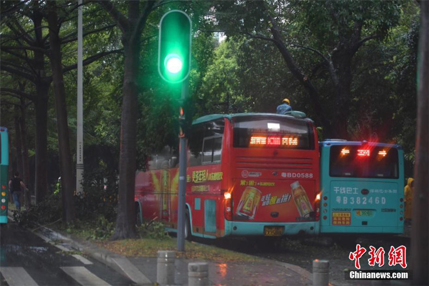 Taifun ?Hato“ wütet in Guangdong