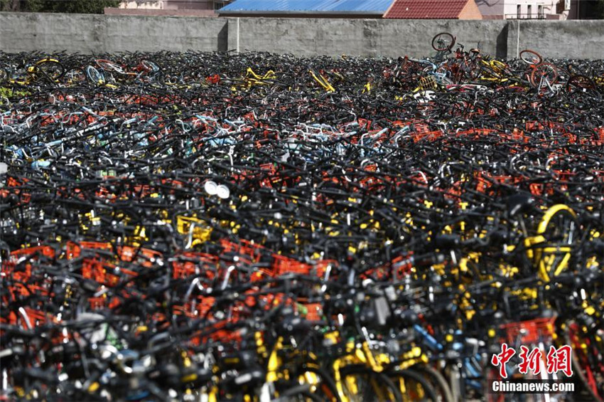 Shanghai kontrolliert die massenhafte Ausbreitung von Mietfahrr?dern