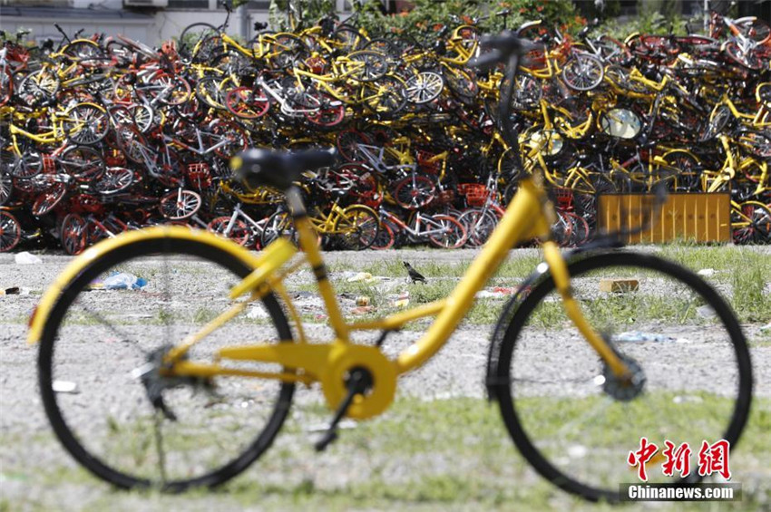 Shanghai kontrolliert die massenhafte Ausbreitung von Mietfahrr?dern