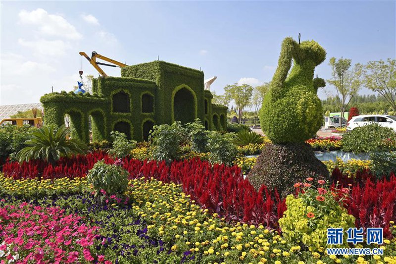 Ningxia ist breit für die 9. Chinesische Blumen-Expo