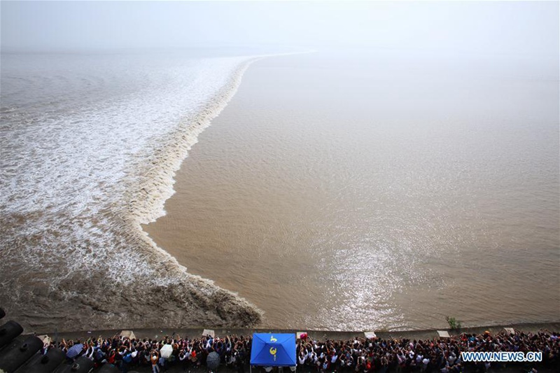 Weltweit gr??te Gezeitenwelle am Qiantang-Fluss