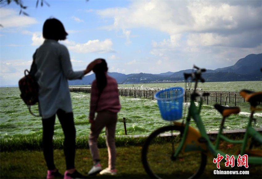 Kunming begrü?t mehr als 300 M?wen