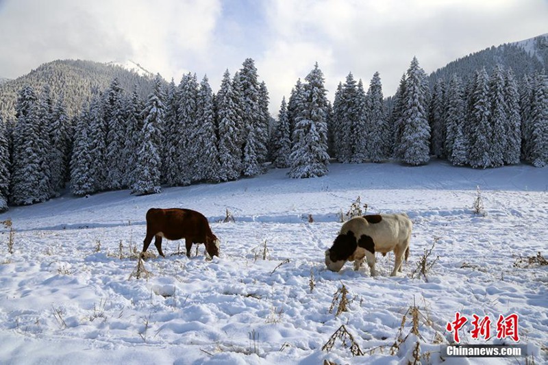 Erster Schneefall in der zweiten Jahresh?lfte in Nordchina