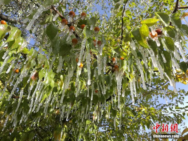 Erster Schneefall in der zweiten Jahresh?lfte in Nordchina