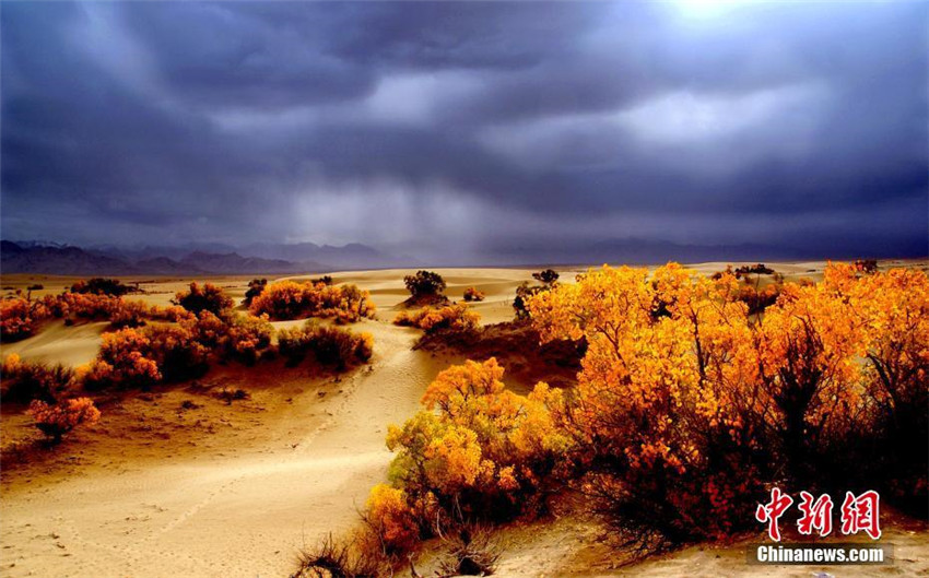 Qinghai: Beste Beobachtungszeit für Tugaiw?lder
