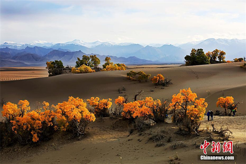 Qinghai: Beste Beobachtungszeit für Tugaiw?lder