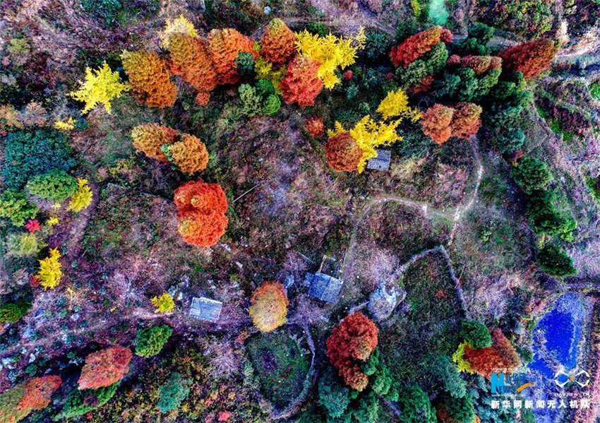 Luftbilder: Faszinierende Herbstlandschaft des Berges Huangbaishan