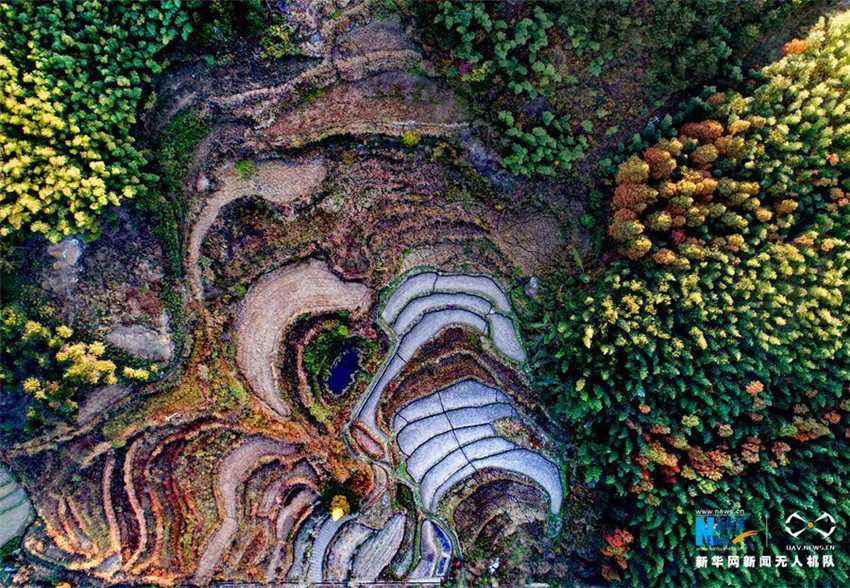 Luftbilder: Faszinierende Herbstlandschaft des Berges Huangbaishan