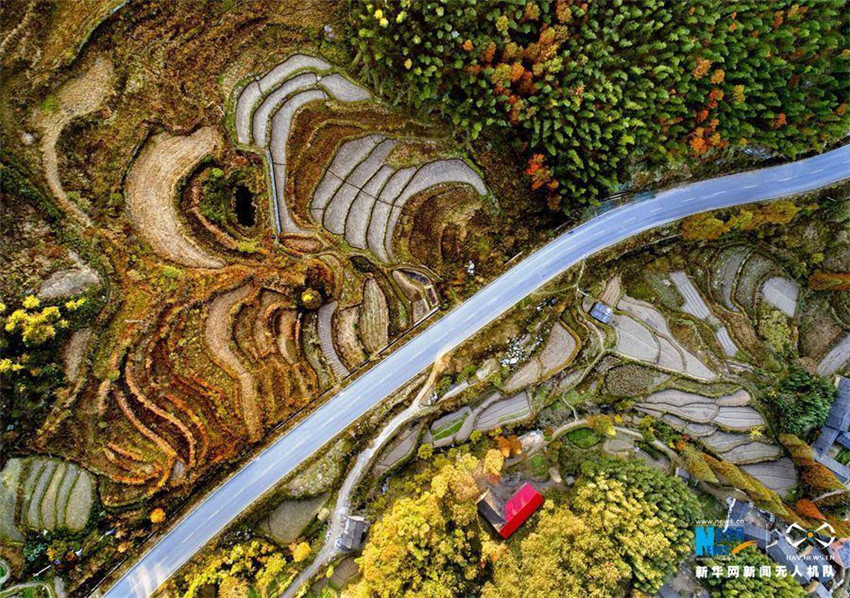 Luftbilder: Faszinierende Herbstlandschaft des Berges Huangbaishan