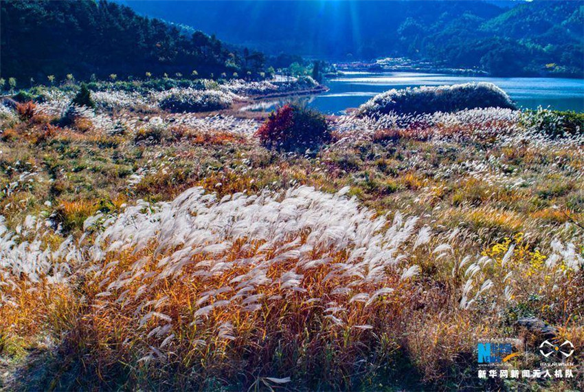 Luftbilder: Faszinierende Herbstlandschaft des Berges Huangbaishan