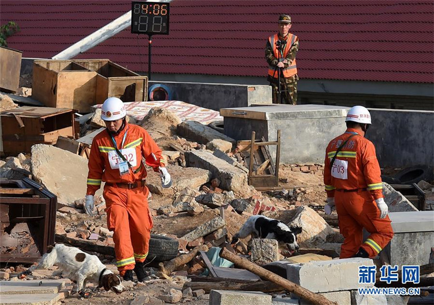 Wettbewerb für Spürhunde in Jinan