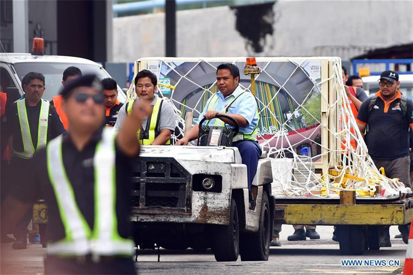 In Malaysia geborenes Panda-Junges fliegt zurück nach China