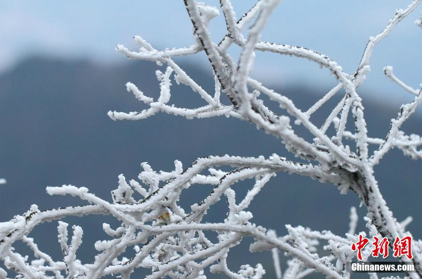 Wundersch?ner Raufrost in Lushan