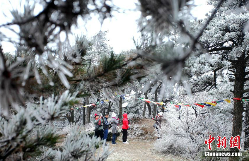 Wundersch?ner Raufrost in Lushan