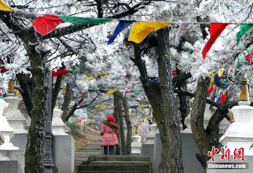 Wundersch?ner Raufrost in Lushan