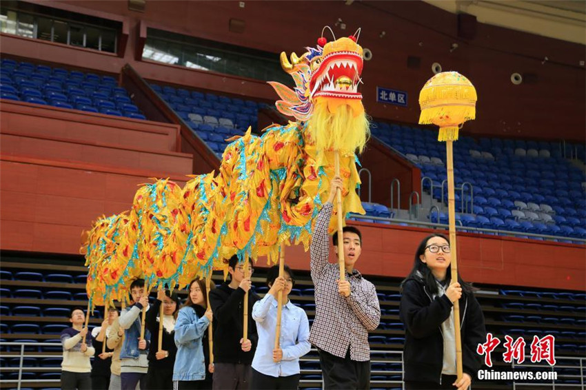 Universit?t Zhejiang bietet Kurse zu L?wen- und Drachentanz an