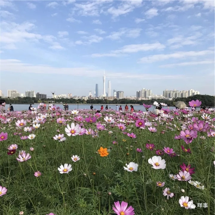 Fortune Global Forum 2017: Die Welt begegnet dem sch?nsten Guangzhou