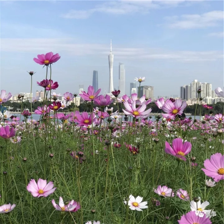 Fortune Global Forum 2017: Die Welt begegnet dem sch?nsten Guangzhou
