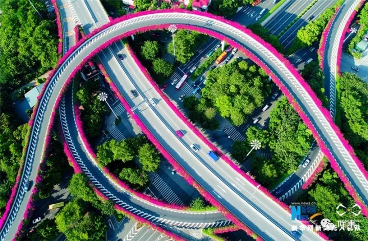 Fortune Global Forum 2017: Die Welt begegnet dem sch?nsten Guangzhou