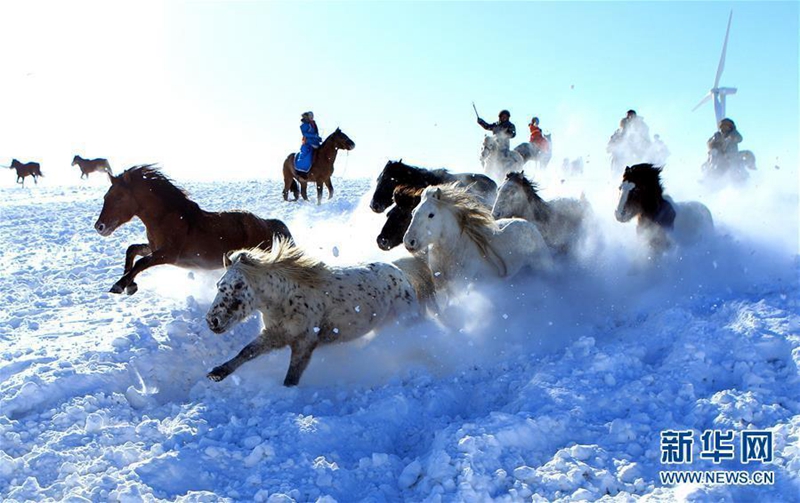 Pferderennen im Schnee