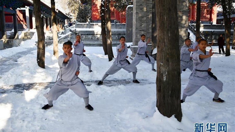 Shaolin-M?nche trainieren Kung-Fu im Schnee