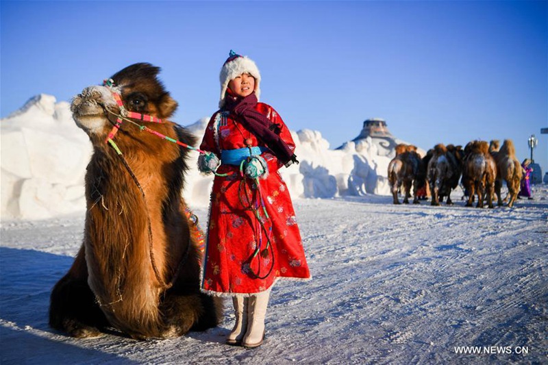 Kamelmesse in der Inneren Mongolei