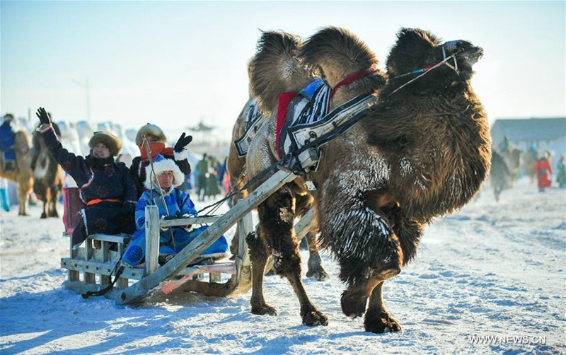 Kamelmesse in der Inneren Mongolei