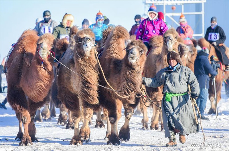Kamelmesse in der Inneren Mongolei