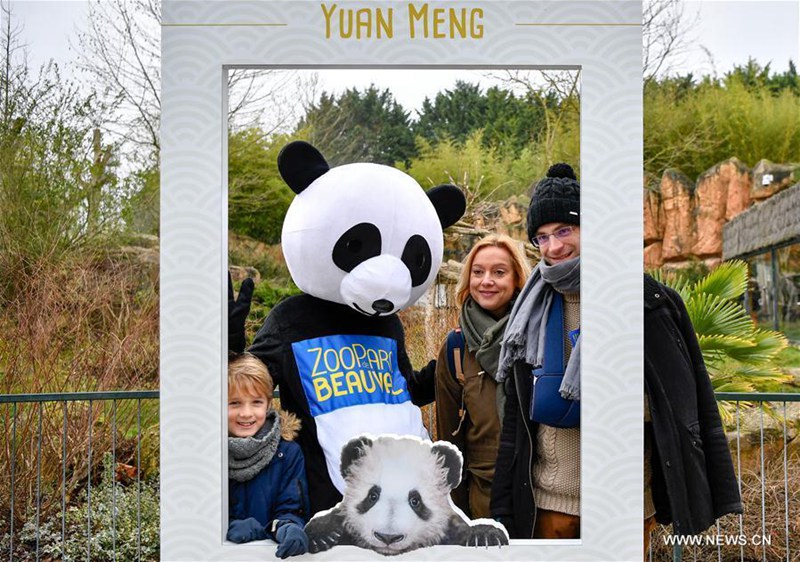 Erstes Panda-Baby ?Yuan Meng“  in Frankreich geboren