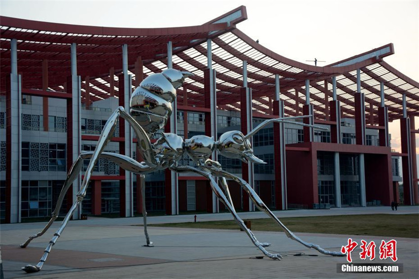 Riesige Ameisenskulptur in Fujian ausgestellt