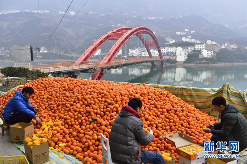 Chinas Heimatstadt der Orangen