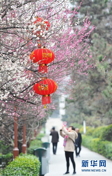 Rot für chinesisches Neujahr 