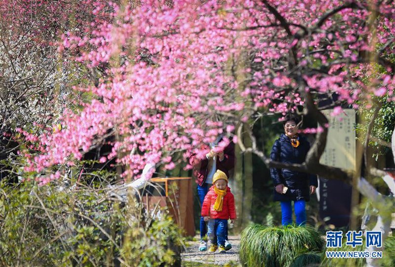 Der Frühling ist da