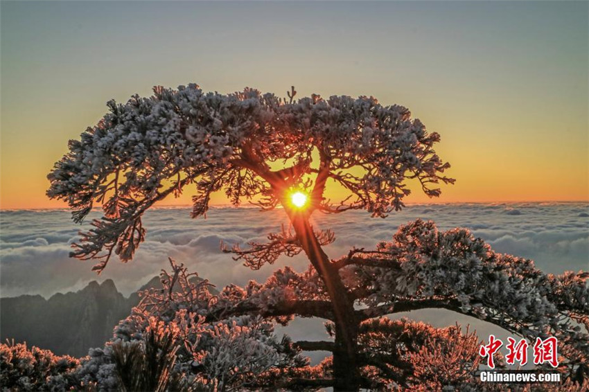 Faszinierendes Wolkenmeer am Huangshan-Berg