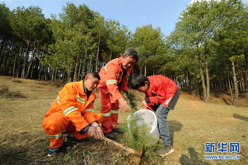 Drei Generationen Waldw?chter in Guizhou