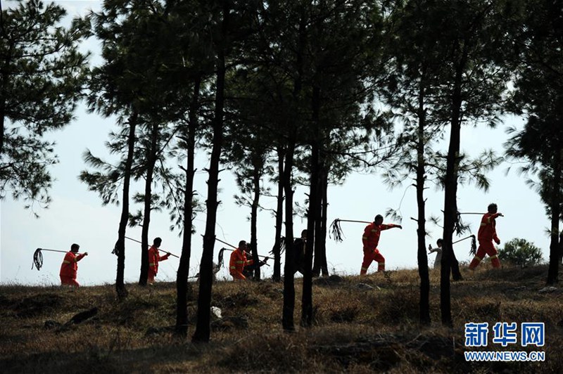 Drei Generationen Waldw?chter in Guizhou