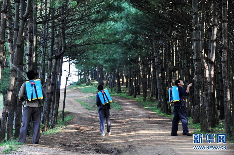 Drei Generationen Waldw?chter in Guizhou